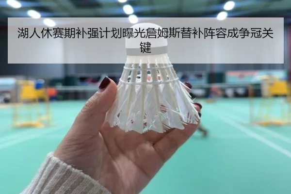 湖人休赛期补强计划曝光詹姆斯替补阵容成争冠关键